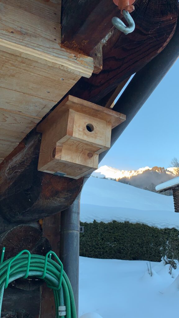 Nisthilfe für Vögel